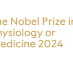 Nobel Prize in Physiology or Medicine 2024