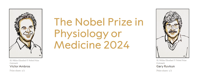 Nobel Prize in Physiology or Medicine 2024